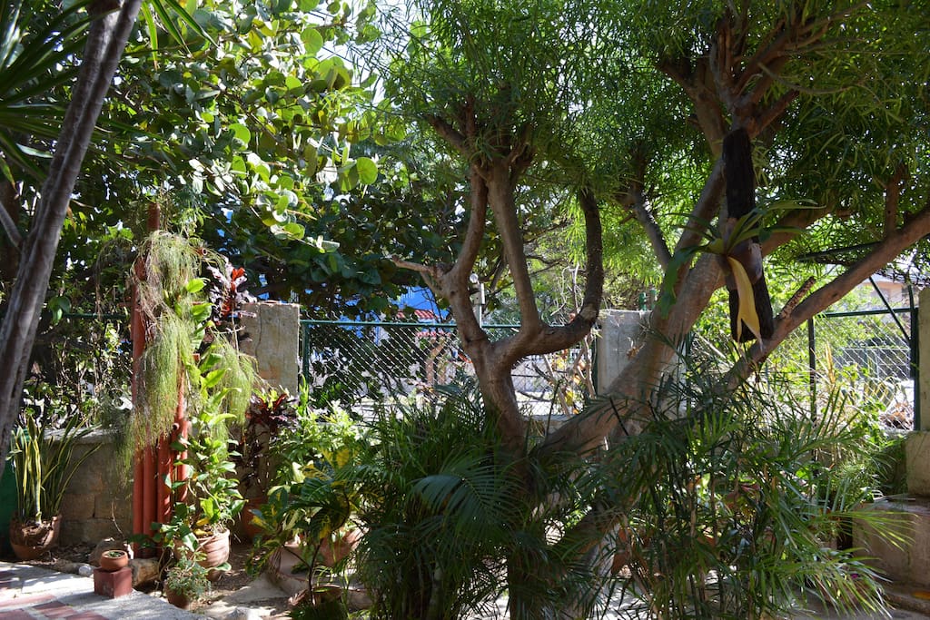 A small forest right at your feet.