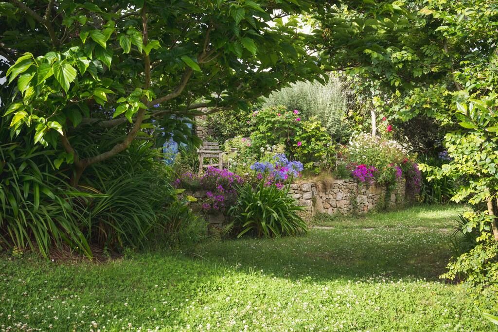 Le jardin