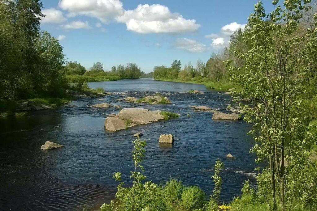 The island in the river