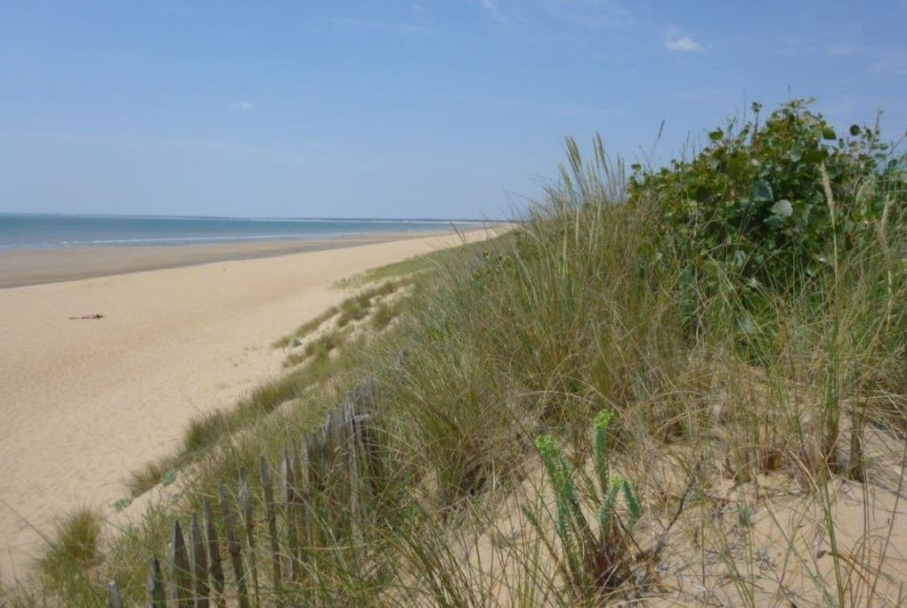 Beautiful beach just down the road.