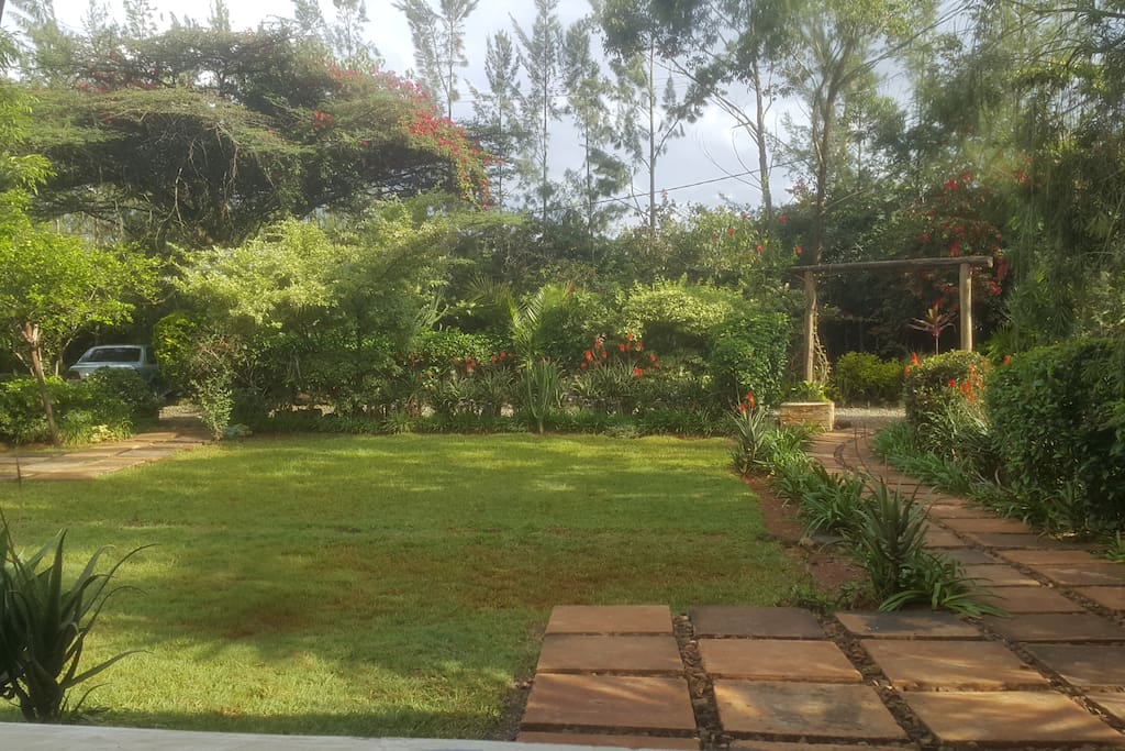 Patio view