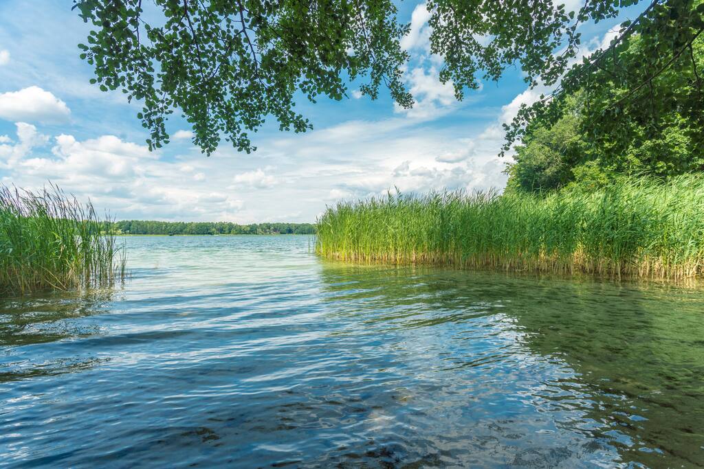 Seichte Badestelle, wenige Schritte entfernt