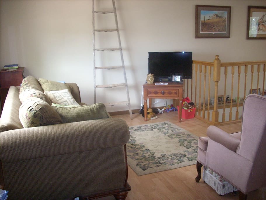 TV with DVD player, and toys for dog friends!