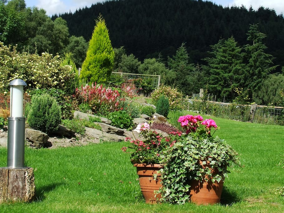 The Garden