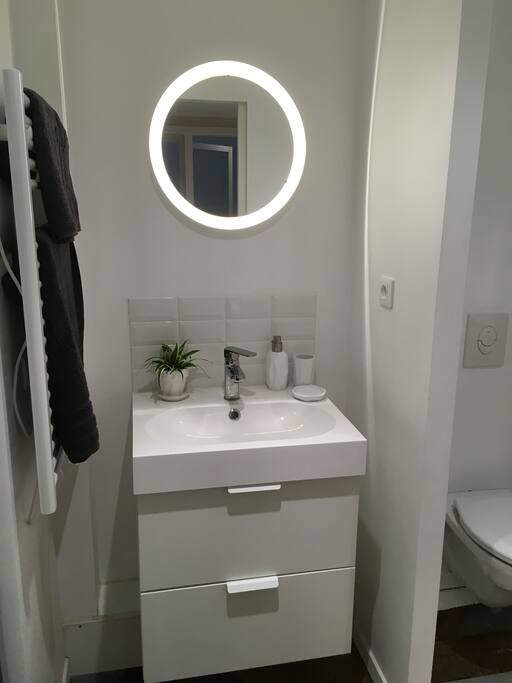 Salle d'eau (grande douche)
