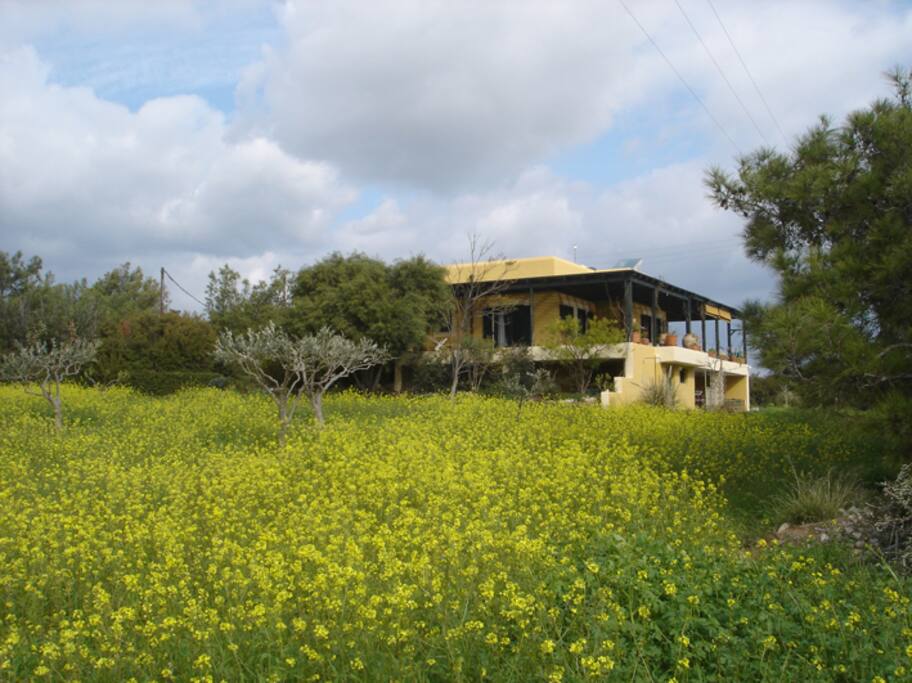 View of the house.