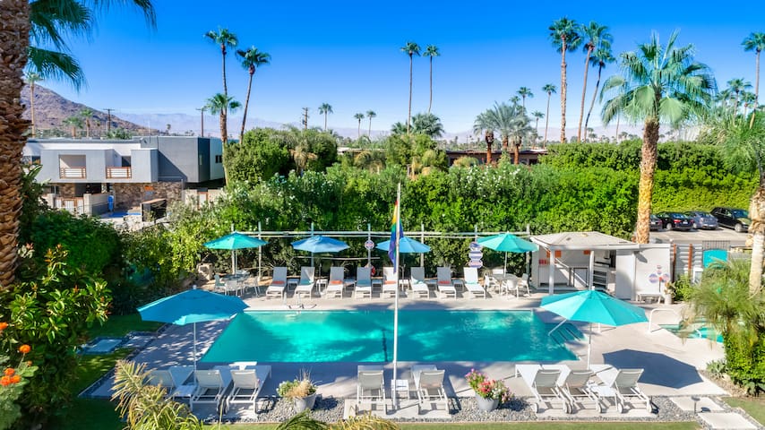 Cozy Mid Century Modern Design Room