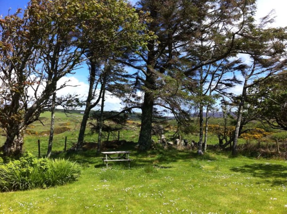 garden