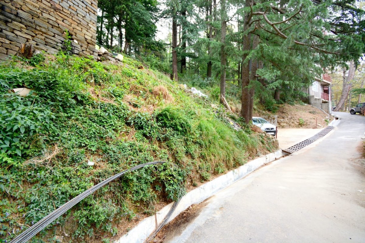 A natural landscape featuring a slope covered with green foliage and small plants. Tall pine trees provide shade, while a gravel road curves gently around the area. A vehicle is parked nearby, and stone walls are visible in the background, blending with the serene environment.