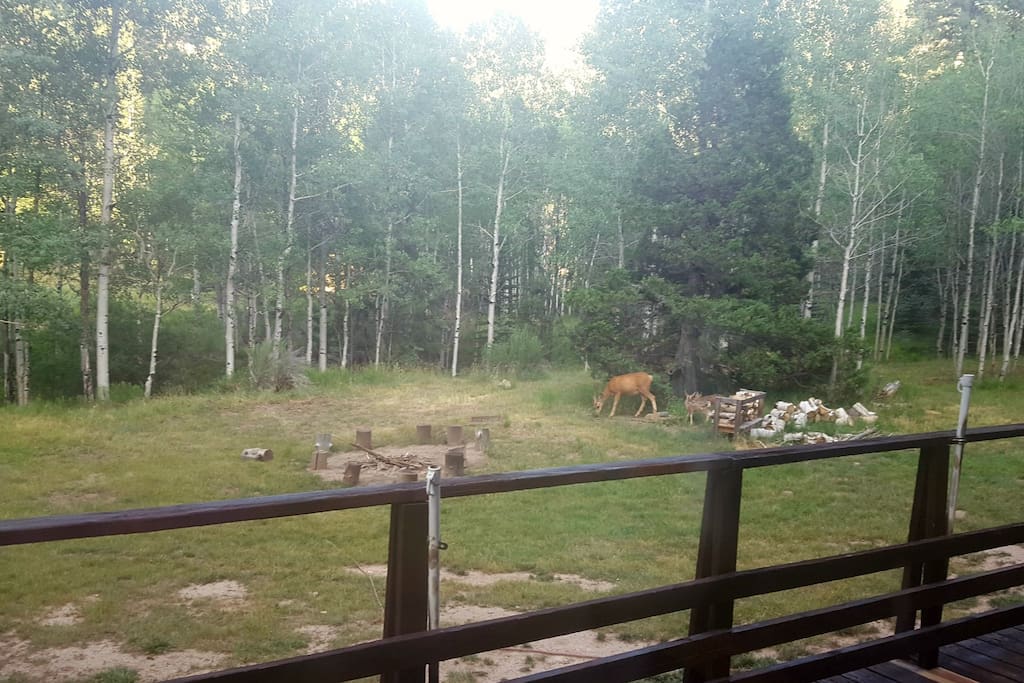 Some of our regular guests.