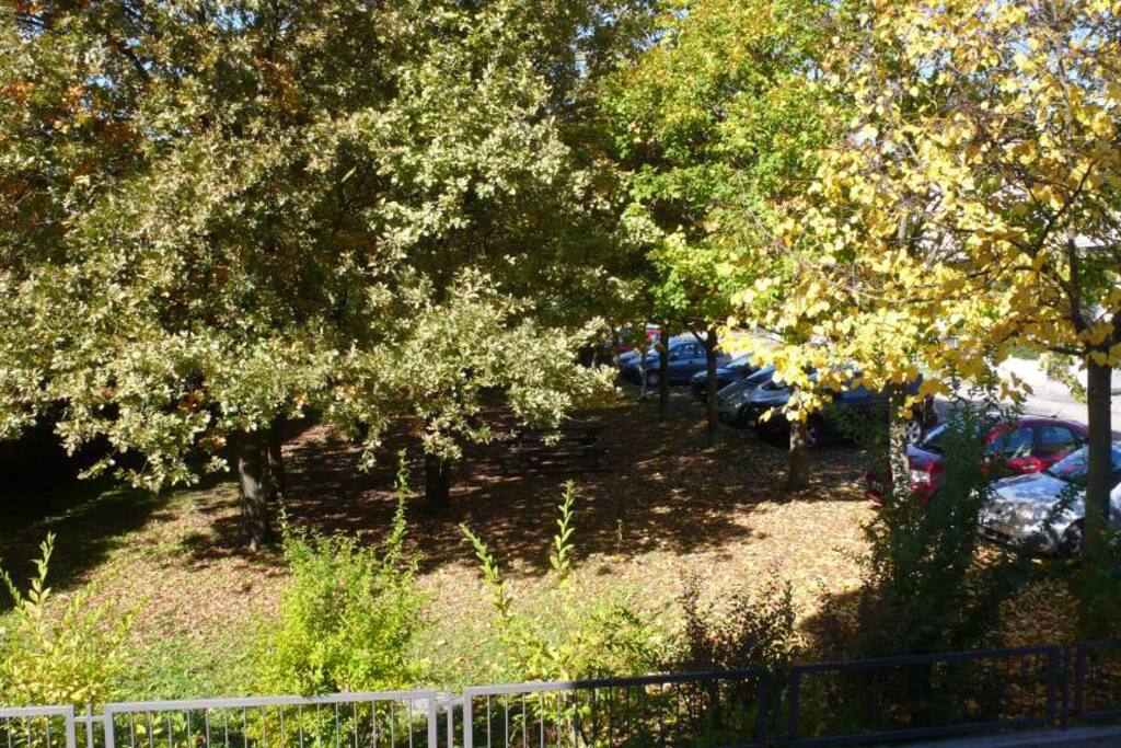 Giardino Esterno
