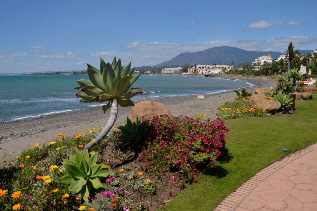 Paseo Marítimo en la Costa del Sol