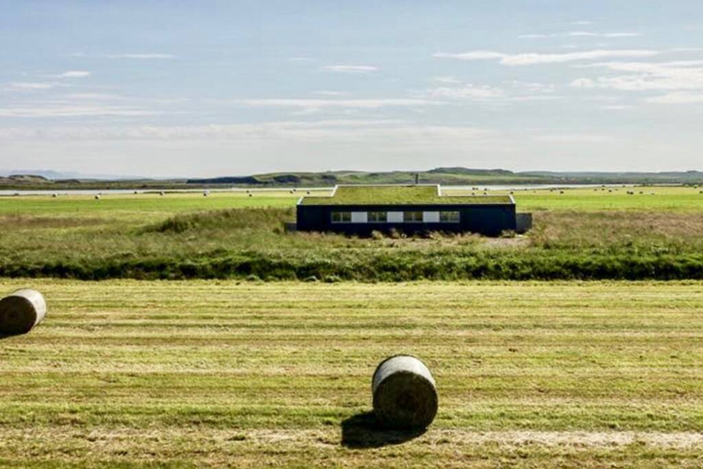 The House is situated on a large field