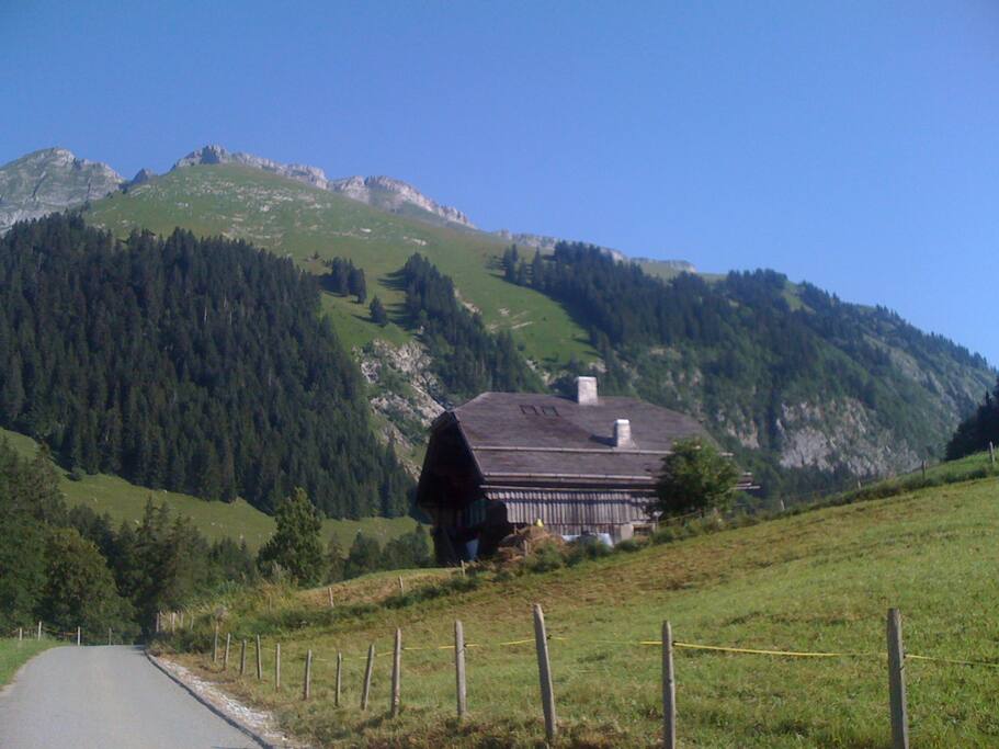 Vue vers le nord