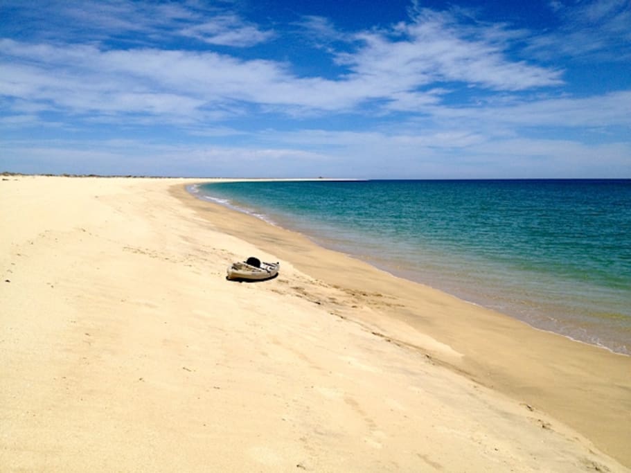 Our area provides hundreds of miles of secluded beaches for kayakers and beachcombers.
