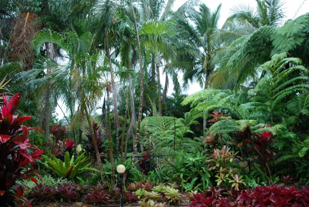 Tropical Gardens
