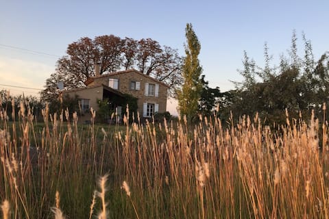 Charming cottage in the vineyards