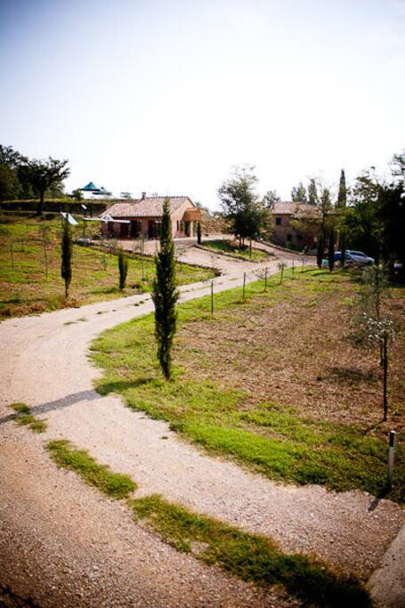 ingresso