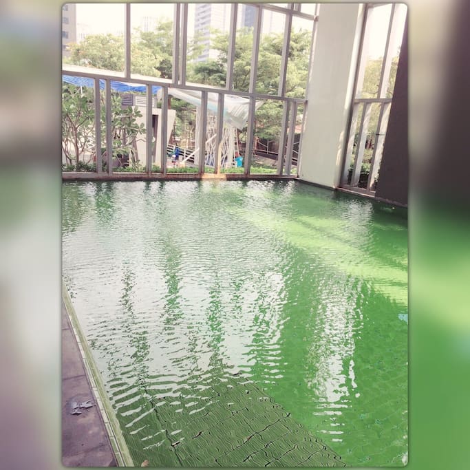 A nice swimming pool on ground floor