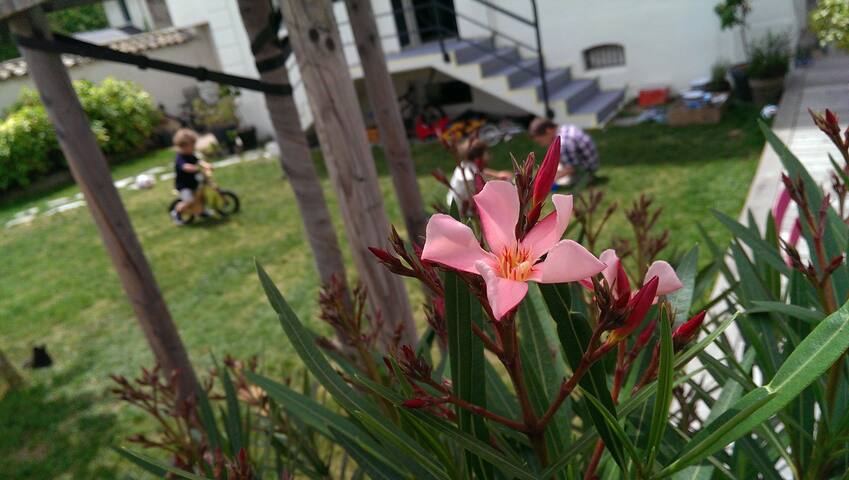 Town house with garden in Lyon gallery image 5