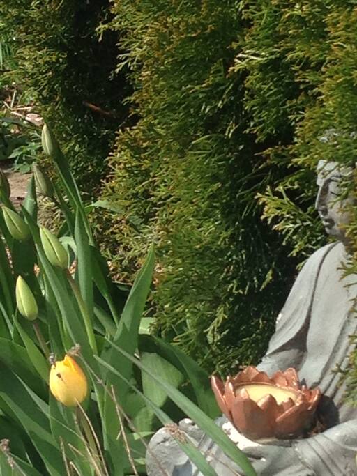 Meditation in the garden