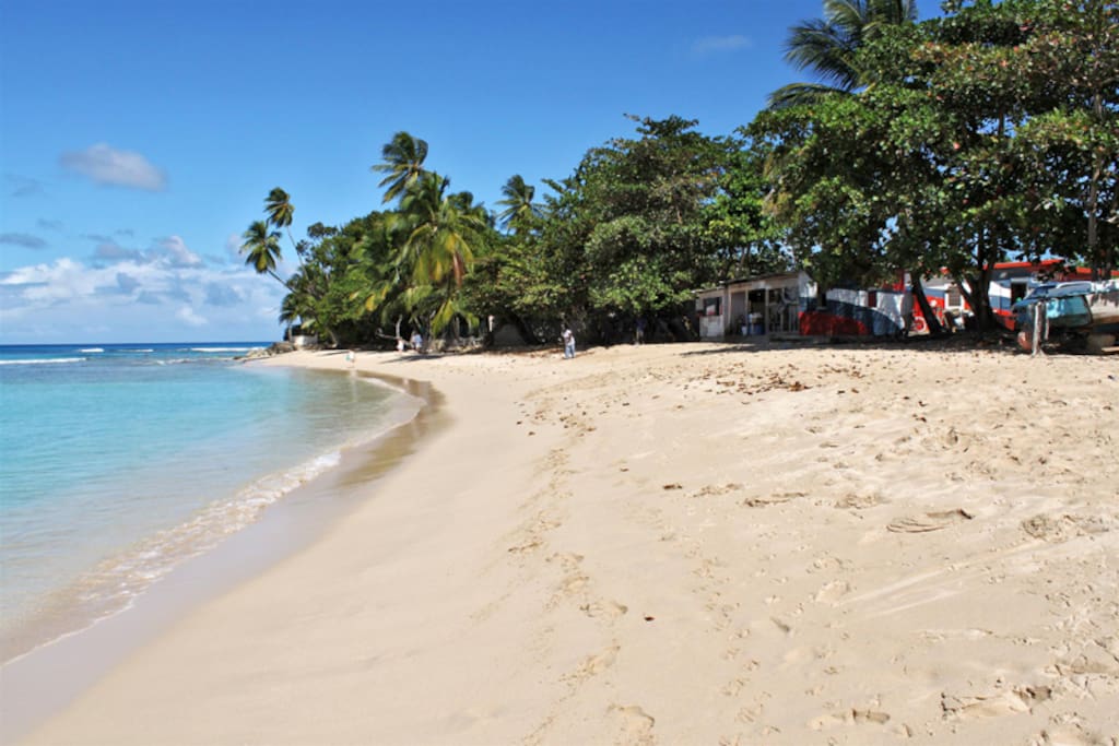 Beach across the road