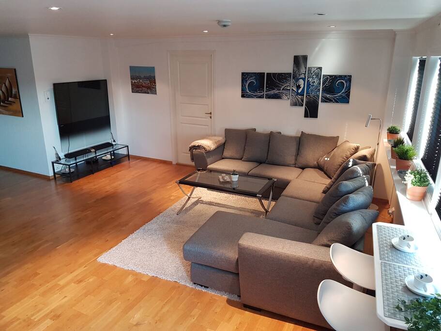 Overview of the living room