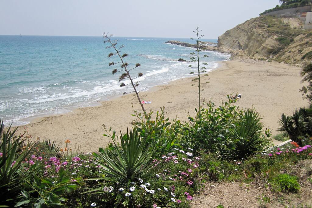 Local beach