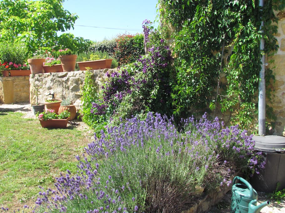 le jardin