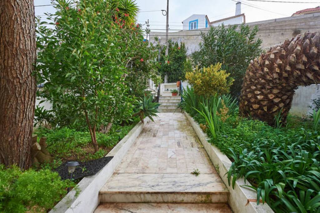 The garden