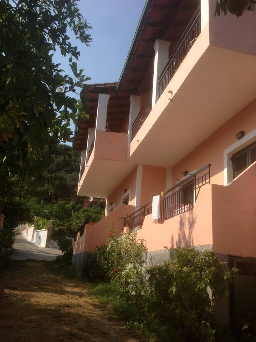 The building