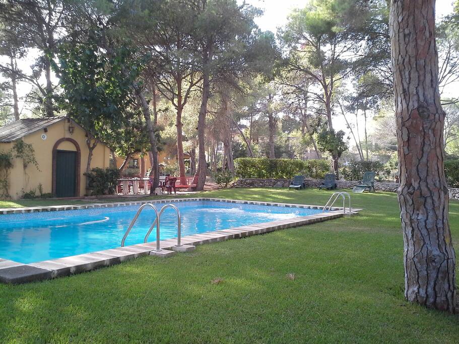 Gran piscina comunitaria (uso compartido)