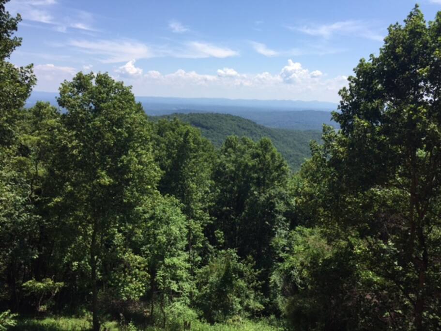 View from the back porch