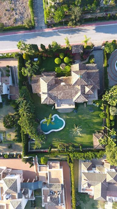 Top view
