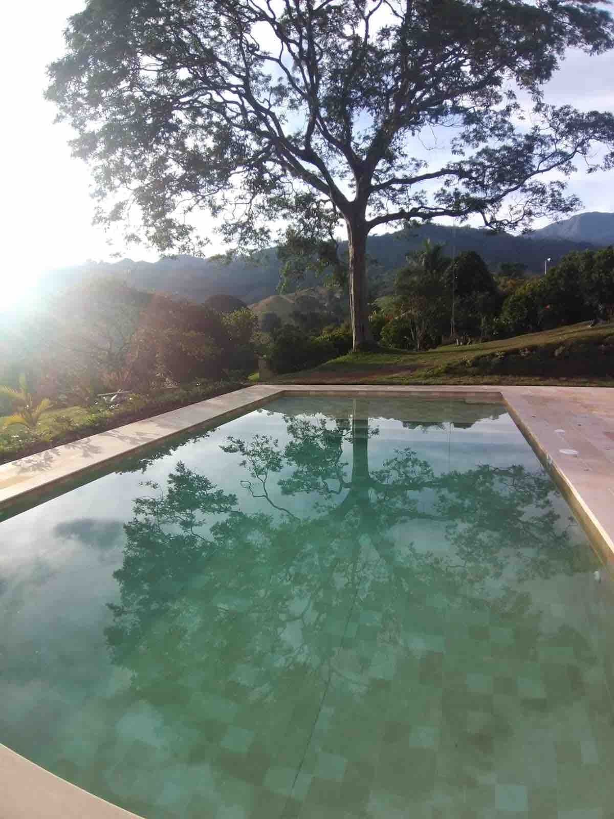 A clear pool is surrounded by lush greenery, with reflections of a large tree visible on the water's surface. The landscape features rolling hills in the background, illuminated by soft sunlight.