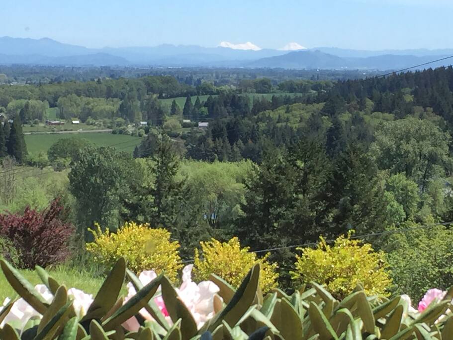 View from the house