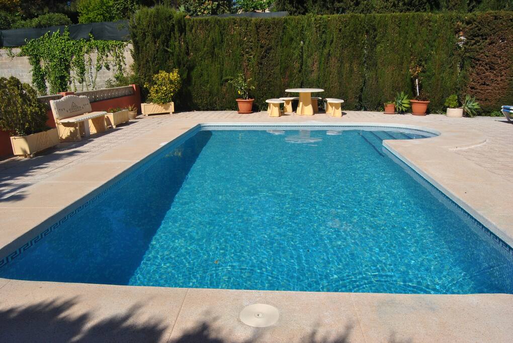 Pool 8x4