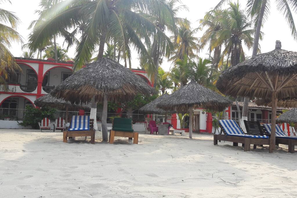 Comodas y agradables palapas con camastros y sillas de playa