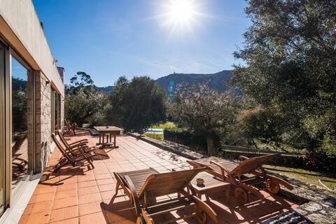 Little Olive Hideaway