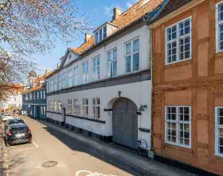 Nice Appartment, down town in Helsingør
