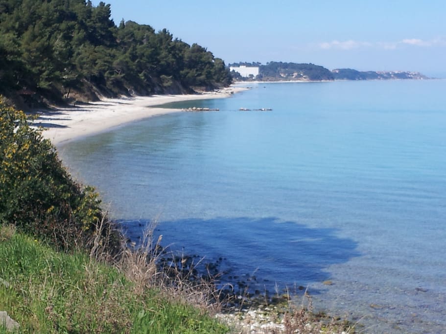 Beautiful natural sandy beach with shade from the pine trees late afternoon.