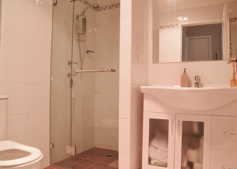 Guest bathroom