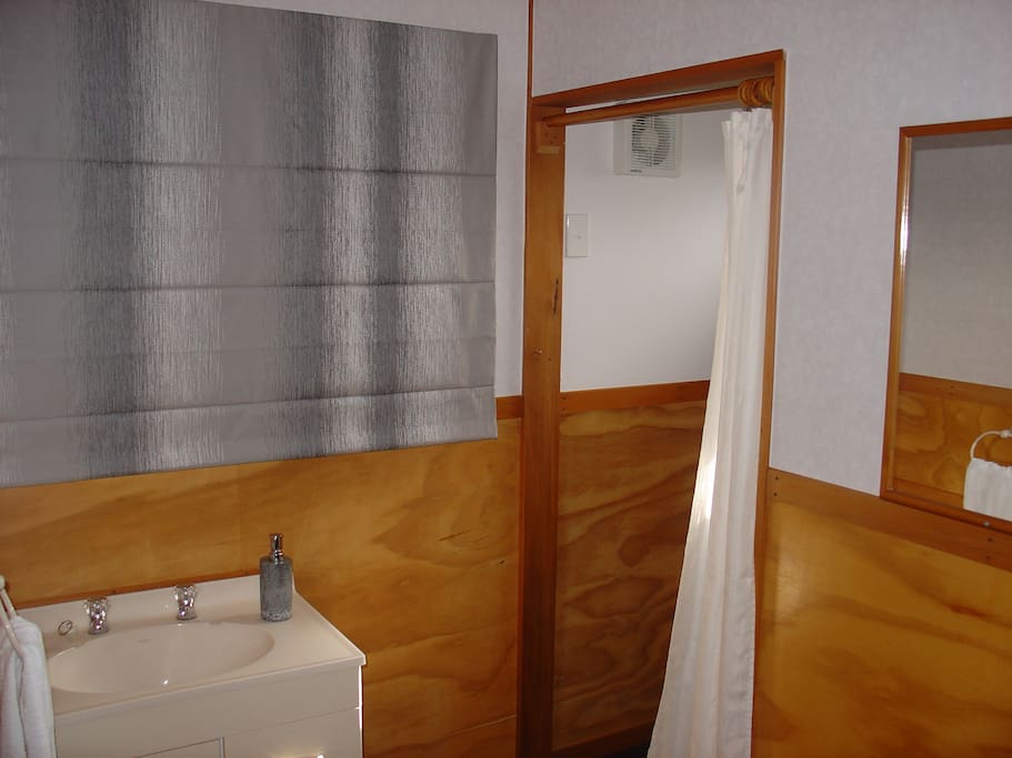 Ensuite shower and vanity