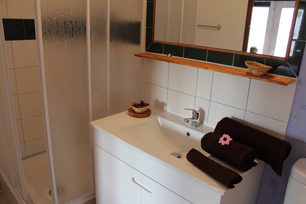 Salle de bains privée avec douche .