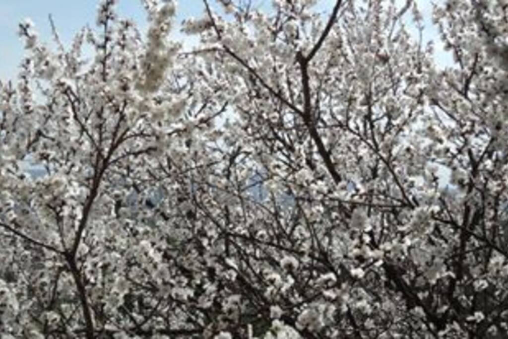 spring mood