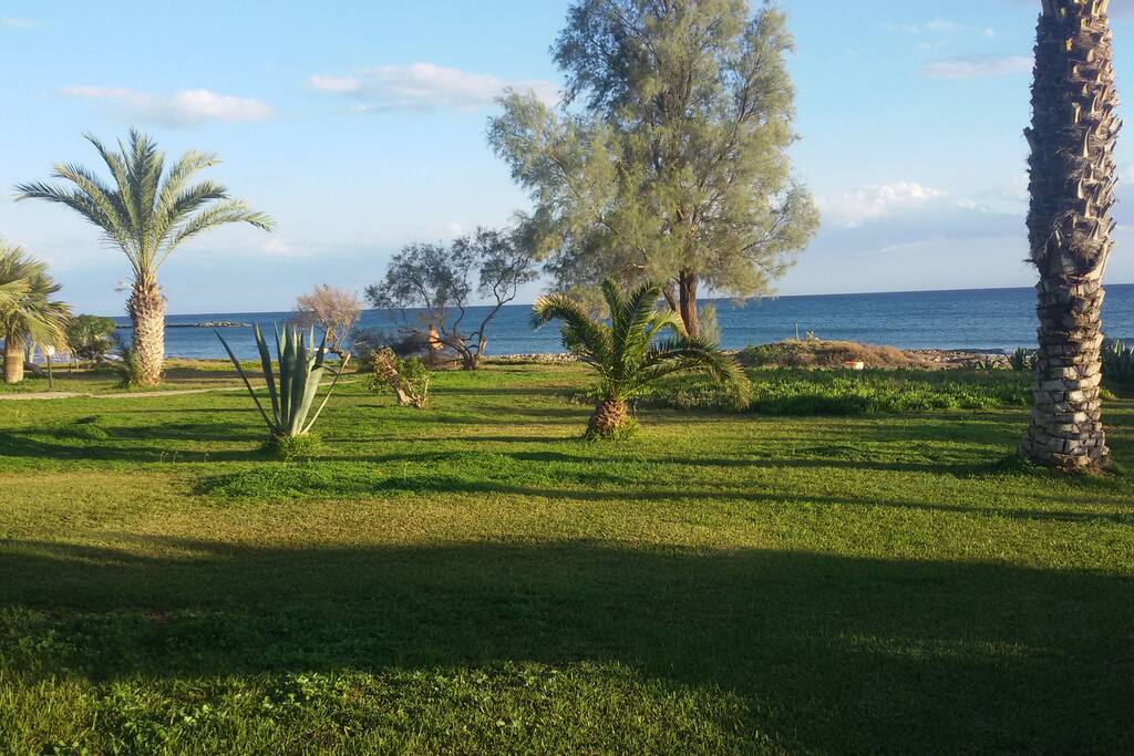GARDEN