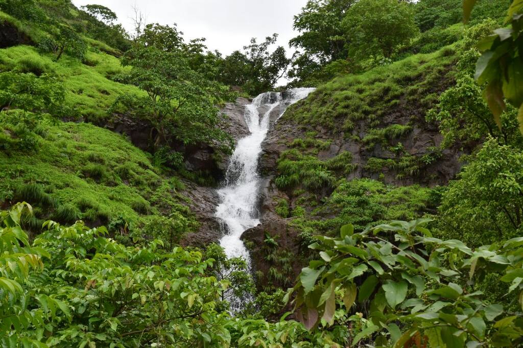 Waterfall near the Farmhouse - Walkable distance 700 mtrs