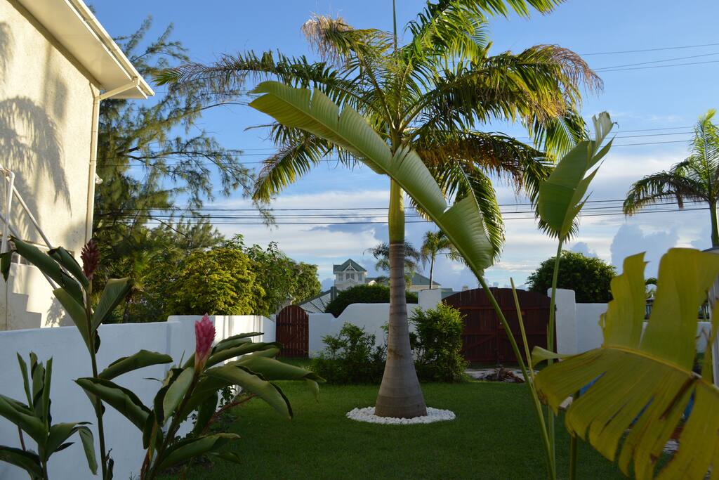 Tropical Gecko Studio - Garden
