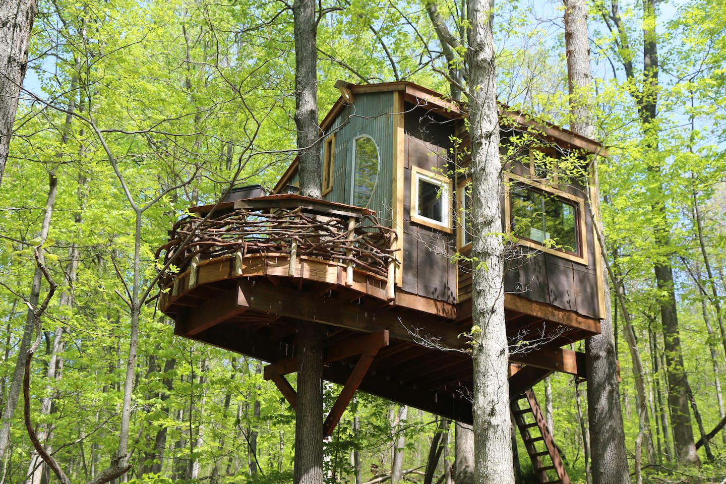 treehouse in Virginia with hip design