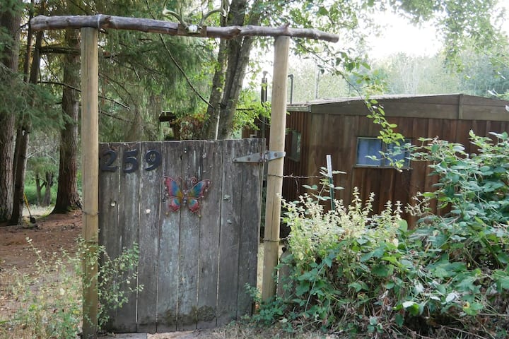 Beautiful home on a 5 acre lavender farm :)